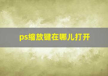 ps缩放键在哪儿打开