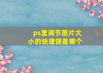 ps里调节图片大小的快捷键是哪个