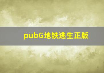 pubG地铁逃生正版