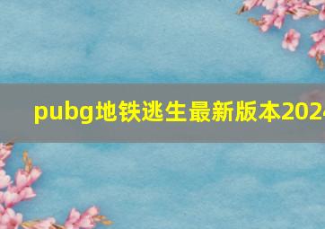 pubg地铁逃生最新版本2024