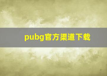 pubg官方渠道下载