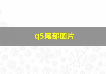 q5尾部图片