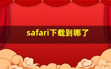 safari下载到哪了