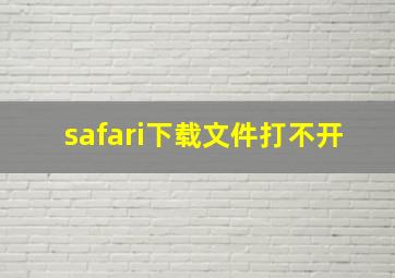 safari下载文件打不开