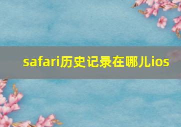 safari历史记录在哪儿ios