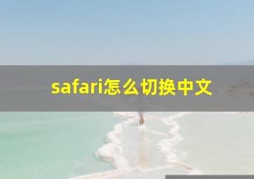 safari怎么切换中文