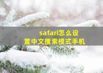 safari怎么设置中文搜索模式手机