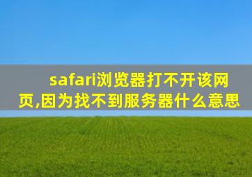 safari浏览器打不开该网页,因为找不到服务器什么意思