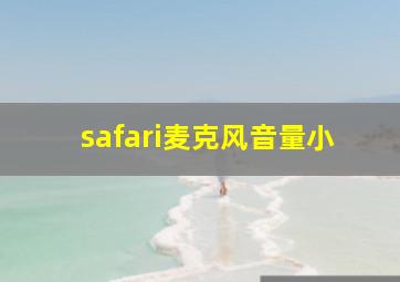 safari麦克风音量小