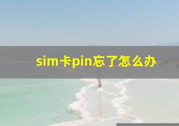 sim卡pin忘了怎么办