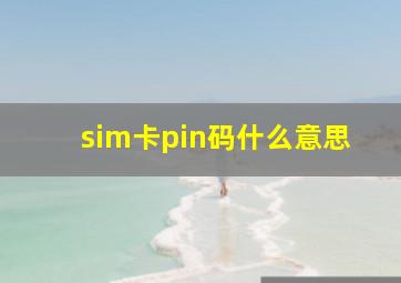 sim卡pin码什么意思