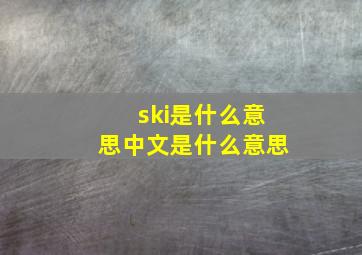 ski是什么意思中文是什么意思