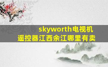 skyworth电视机遥控器江西余江哪里有卖