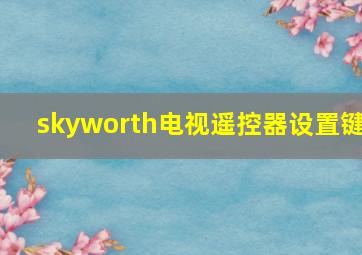 skyworth电视遥控器设置键