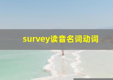 survey读音名词动词