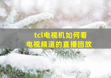 tcl电视机如何看电视频道的直播回放