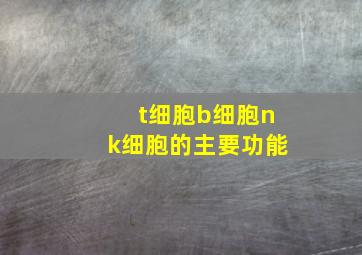 t细胞b细胞nk细胞的主要功能