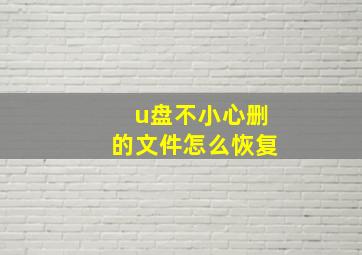 u盘不小心删的文件怎么恢复