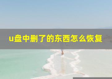 u盘中删了的东西怎么恢复