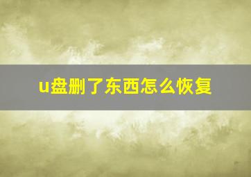 u盘删了东西怎么恢复