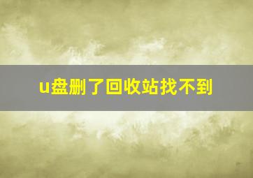 u盘删了回收站找不到