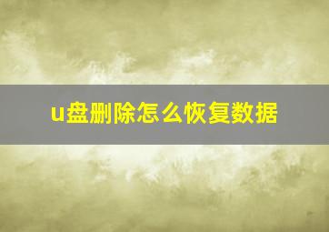 u盘删除怎么恢复数据