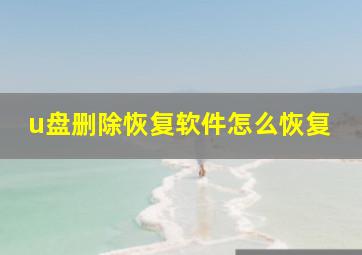 u盘删除恢复软件怎么恢复