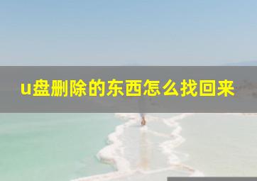 u盘删除的东西怎么找回来