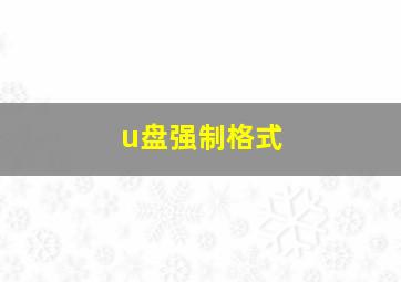 u盘强制格式