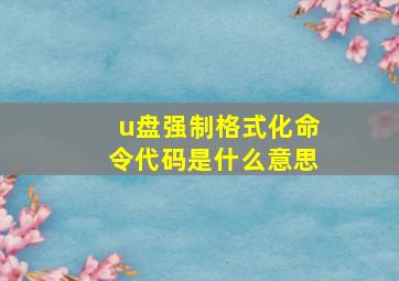 u盘强制格式化命令代码是什么意思