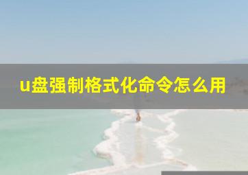 u盘强制格式化命令怎么用