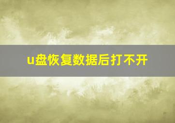 u盘恢复数据后打不开