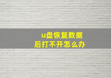 u盘恢复数据后打不开怎么办