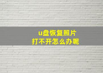 u盘恢复照片打不开怎么办呢