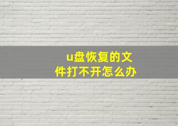 u盘恢复的文件打不开怎么办