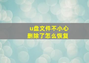 u盘文件不小心删除了怎么恢复