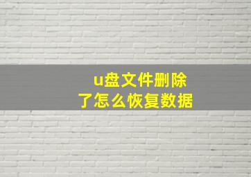 u盘文件删除了怎么恢复数据