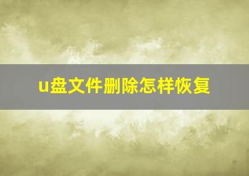 u盘文件删除怎样恢复