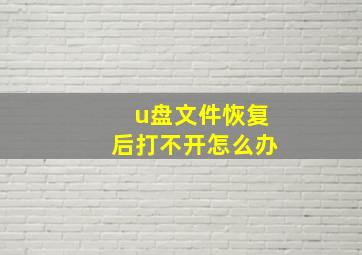 u盘文件恢复后打不开怎么办