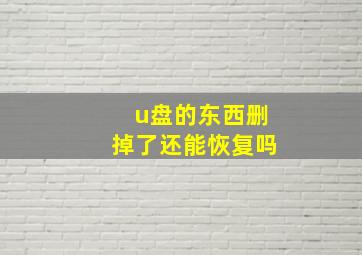 u盘的东西删掉了还能恢复吗