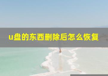 u盘的东西删除后怎么恢复