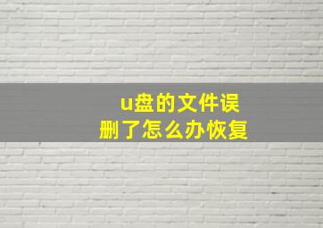 u盘的文件误删了怎么办恢复