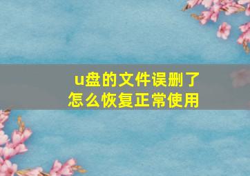 u盘的文件误删了怎么恢复正常使用