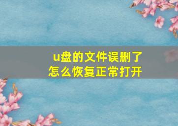 u盘的文件误删了怎么恢复正常打开