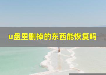 u盘里删掉的东西能恢复吗