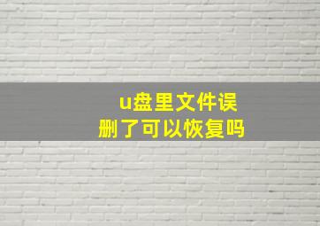 u盘里文件误删了可以恢复吗