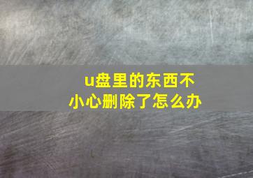 u盘里的东西不小心删除了怎么办