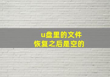 u盘里的文件恢复之后是空的