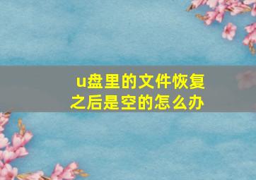 u盘里的文件恢复之后是空的怎么办