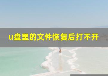 u盘里的文件恢复后打不开